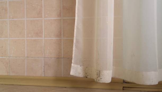 Best Mold Odor Removal Services  in Richlands, NC