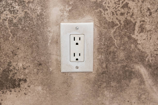 Best Environmental Consulting for Mold Prevention  in Richlands, NC