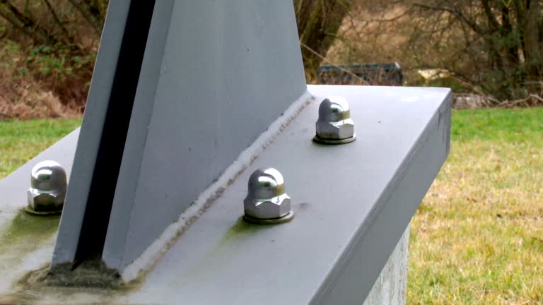 Best Mold Damage Restoration  in Richlands, NC